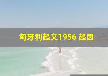 匈牙利起义1956 起因